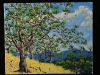 john-whitehead-photos-paintings-066
